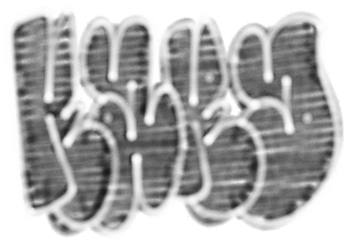 Kard