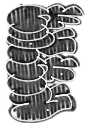 Kard